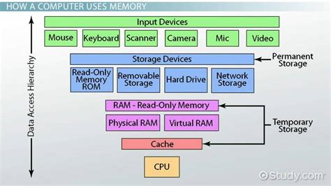 Together, the data and the dbms, along with the applications that are associated with them, are. The Main Functions of Computer Memory | Ponirevo