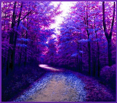 Purple Nature Wallpaper By Babyyoyo Ef Free On Zedge™