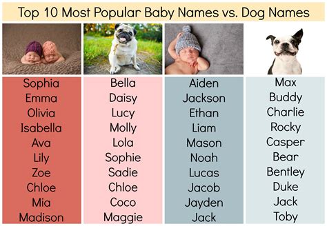 Surprising Crossover In The Top 10 Most Popular Baby Names Vs Dog