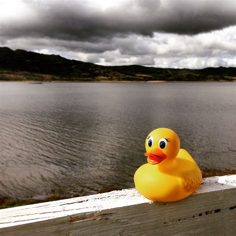 We did not find results for: El Pato, poco antes de encontrar una entrada al agua del ...