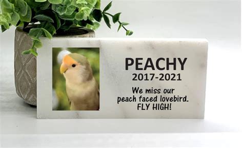 Bird Memorial Stone With Photo Personalized Memorial Stone Etsy