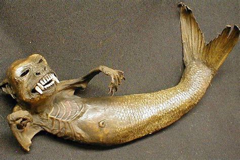 Freaky Looking Taxidermy Fish Chimera Chimerical Creatures
