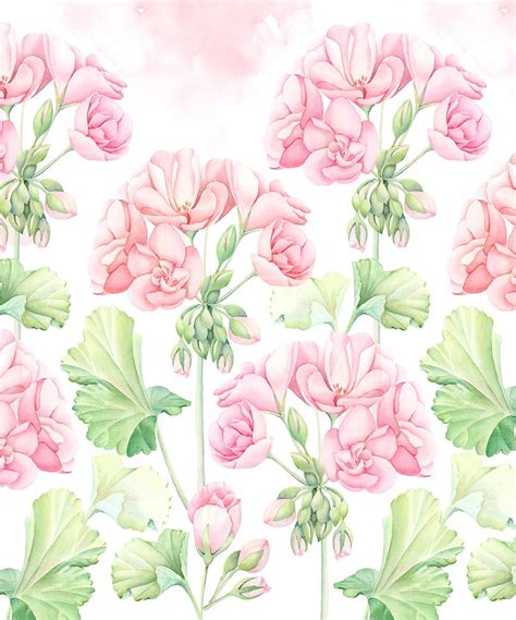 Geranium Watercolor Pattern By Kateryna Savchenko Watercolor Flowers