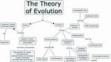 Theory Evolution Concept Map Images