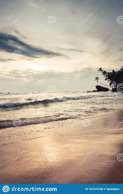Beach Palm Trees Sunset Sea Surf Waves Rocks Coastline Scenery With