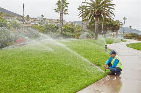 10 Easy Ways To Make A Water Efficient Landscape