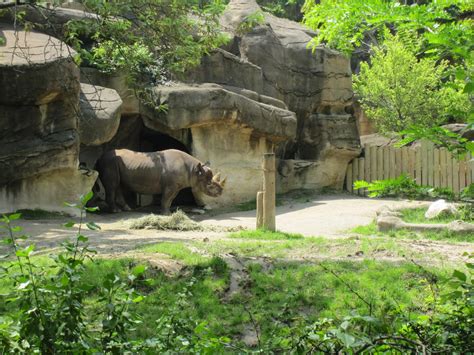 Queen City Yam Cincinnati Zoo And Botanical Gardens
