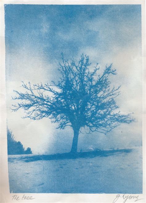 Cyanotype Print From Film Gavin Lyons Photography