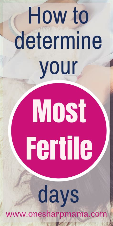 understanding your cycle and calculating your fertile window artofit