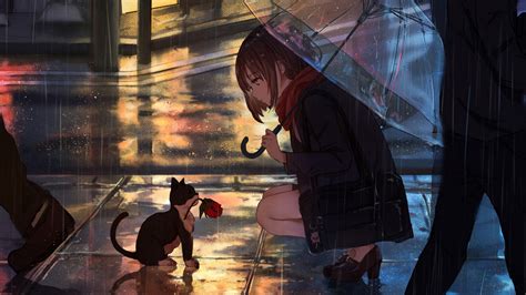 Wallpaper Girl Kitten Flower Anime Street Rain