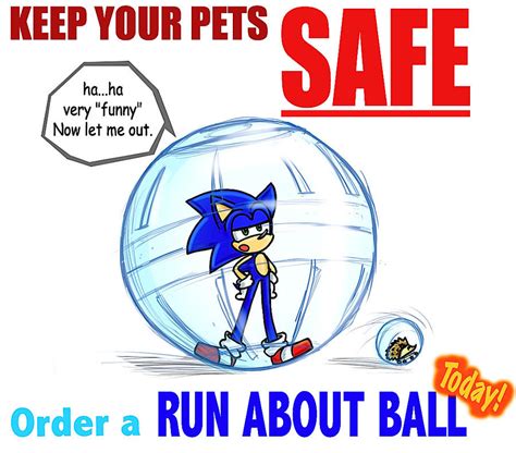 Sonics Hedgehog Pet Advice Hedgehog Central