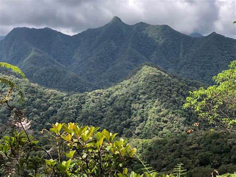 Integral Ecology The Joy Of Climbing The Great Mountains Of Bukidnon