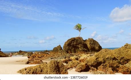 Brazilian Beach Tambaba Nudism Beach Northeast Stock Photo