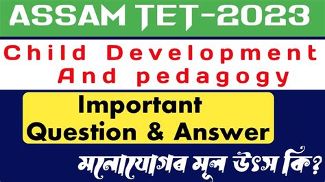 C D P Important MCQ For Assam TET 2023 BTR TET YouTube