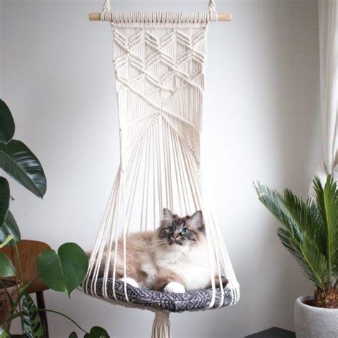 6 reviews of cat in a hammock i highly recommend this company kristina is an absolute person of integrity , her knowledge , customer service and eye for design and selecting materials in fabulous.if your thinking of improving your back or front yard you won't go wrong selecting cat in a hammock Cat hammocks - what every owner should know | Cat hammock, Diy cat hammock, Macrame