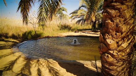 The Best Things To Do In Siwa Oasis Egypt