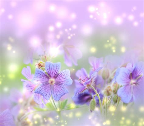 15 Greatest Spring Wallpaper For Computer You Can Get It Free Of Charge
