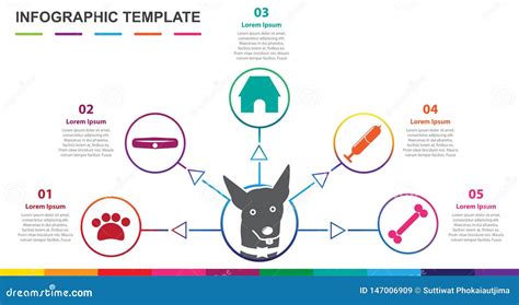 Infographic Template For Pet 5 Steps Mindmap Diagram Stock Vector