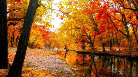 Download 2560x1440 Autumn Mini River Leaves Tree Wallpapers For Imac