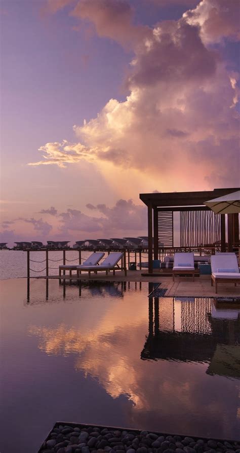 The Infinity Pool At Viceroy Maldives Resort Maldives Resort