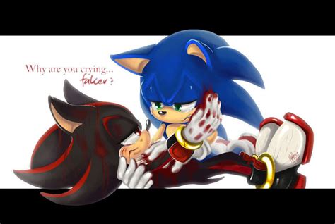A Prophecy In My Dreams Chapter 12 Shadow The Hedgehog Fanpop