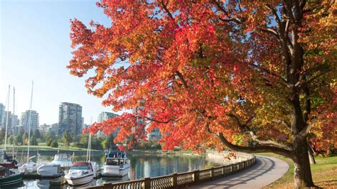 The Fall Season Is Approaching For 2023 Discover These Vancouver Spots