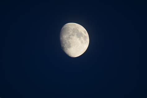 Free Images Sky Night Full Moon Moonlight Circle Astronomy
