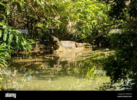 Patch Heavenly Sanctuary, Redlands, South Florida Miami's own little