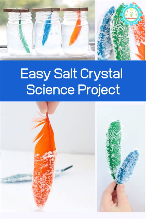 How To Make Salt Crystal Feathers In Less Than An Hour In 2023