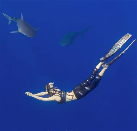 Ocean Ramsey Ocean Protector Ramsey Snorkeling Diving Shark Sci