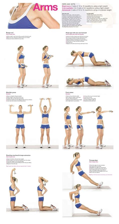 Sixpack übungen zuhause ohne geräte für frauen. 206 besten Arme Training / Brust Rücken Workout Bilder auf ...