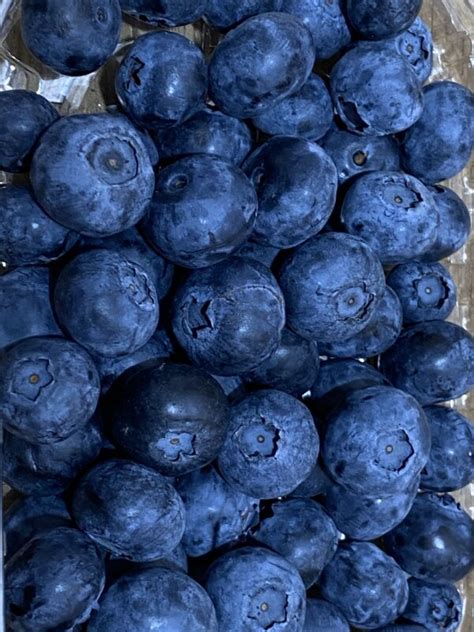 Blueberry 125g Jacksons Fruit And Veg