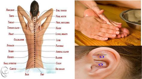 6 Body Parts You Should Massage Where Should You Massage And Where