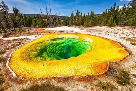 October Continued To Bring Crowds To Yellowstone National Park