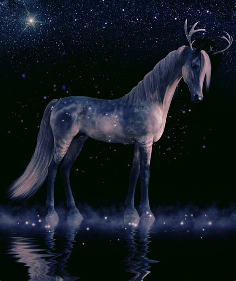 What Is Ceffyl Dŵr Welsh Mythologys Mysterious Water Horse