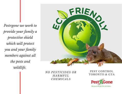 Other pests keep coming back. Mice Pest Control Cost | Pest Control