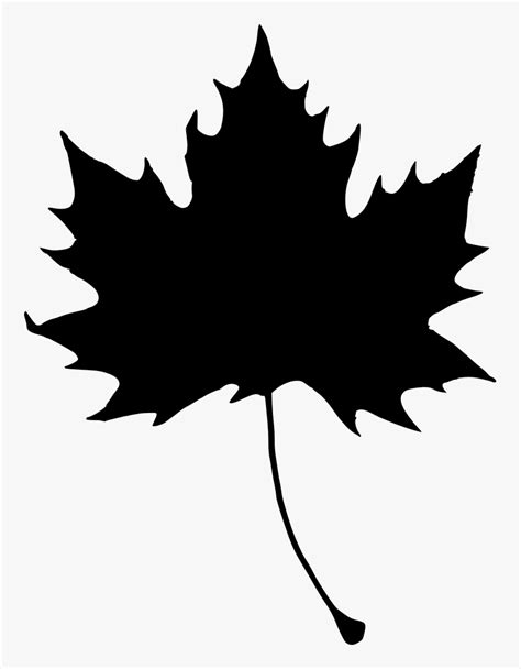 Transparent Leaf Clipart Maple Leaf Black And White Clipart Hd Png
