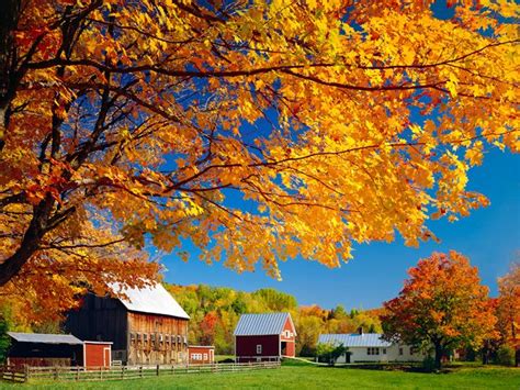 19 Beautiful Barns To Get You In The Fall Spirit Fall Foliage