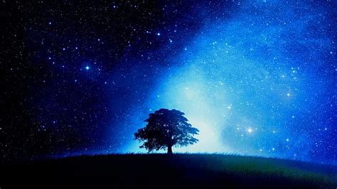 Blue Night Stars Tree Sky Blue Hd Wallpaper Peakpx