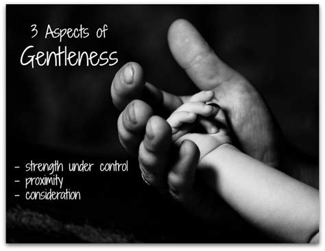The Value Of Gentleness Its What Your Marriage Needs