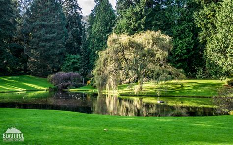 Bloedel Reserve