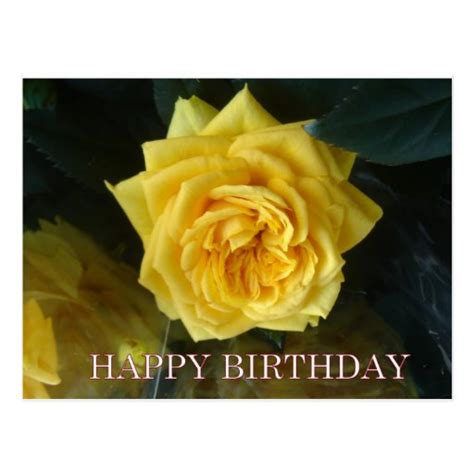 Yellow Rose Birthday Greetings Postcard Zazzle