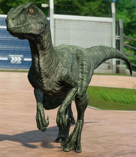 Velociraptor Jurassic World Evolution Wiki Fandom Powered By Wikia