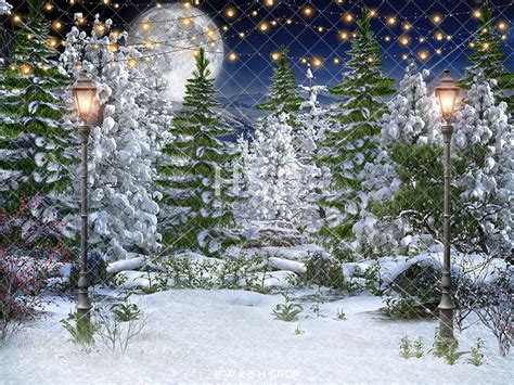 Winter Forest Backdrop With Trees For Winter Wonderland Photos