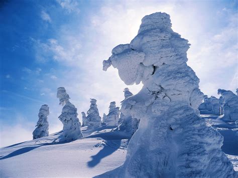 Anthony Coronado photography Mt Zao Snow Monsters 2014 Japan 蔵王山の