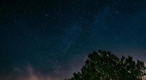 2560x1440 Starry Sky Tree Night 1440p Resolution Wallpaper Hd Nature