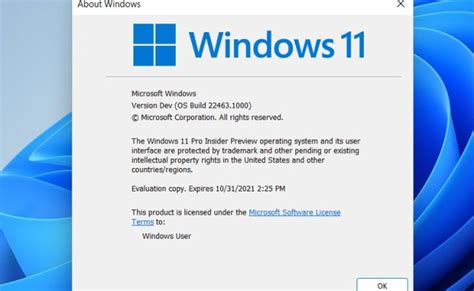 Windows 11 Upgrade Bypass Tpm Check 2024 Win 11 Home Upgrade 2024