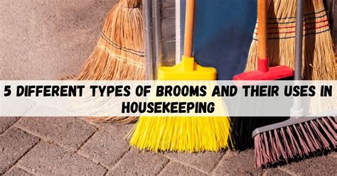 5 Different Types Of Brooms And Their Uses In Housekeeping