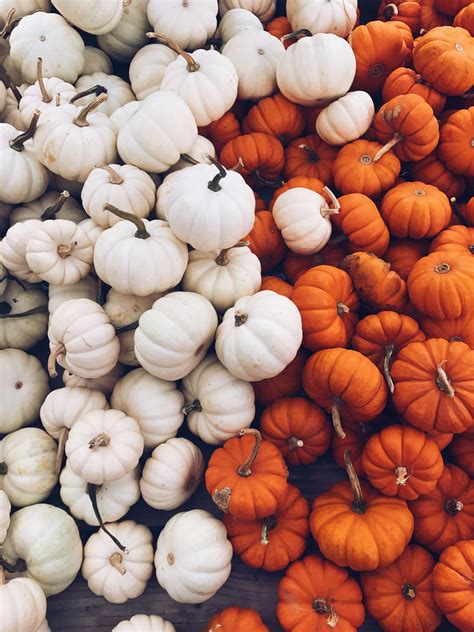 Cute Fall Aesthetic Wallpapers For Your Desktop Or Laptop 3d