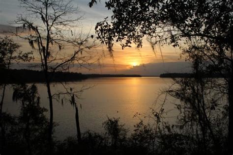Lake Talquin State Forest Tallahassee 2020 All You Need To Know